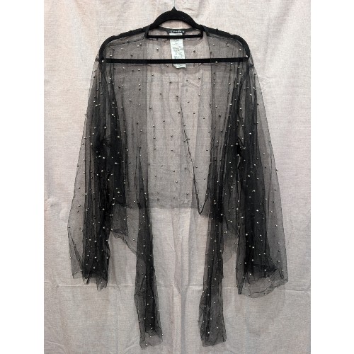 Black Sheer Top with Silver Detail